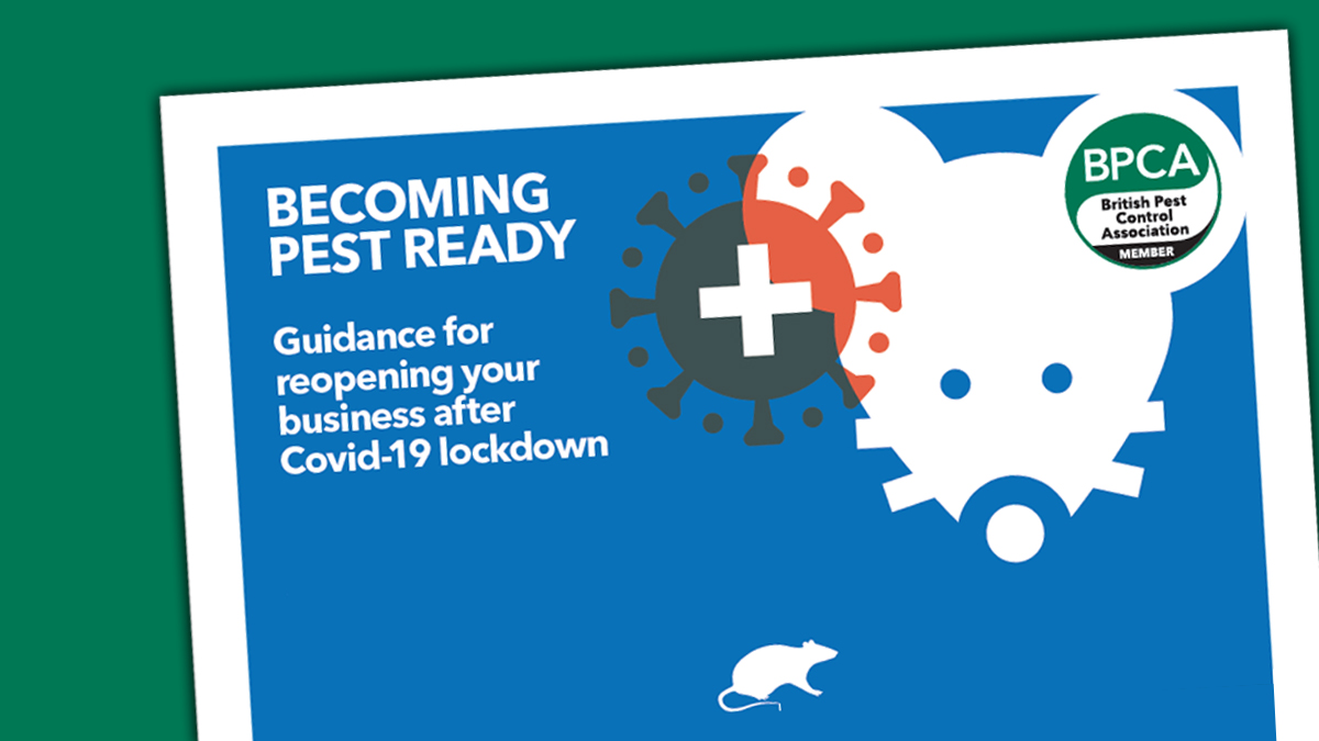 covid 19 pest ready guidance for clients